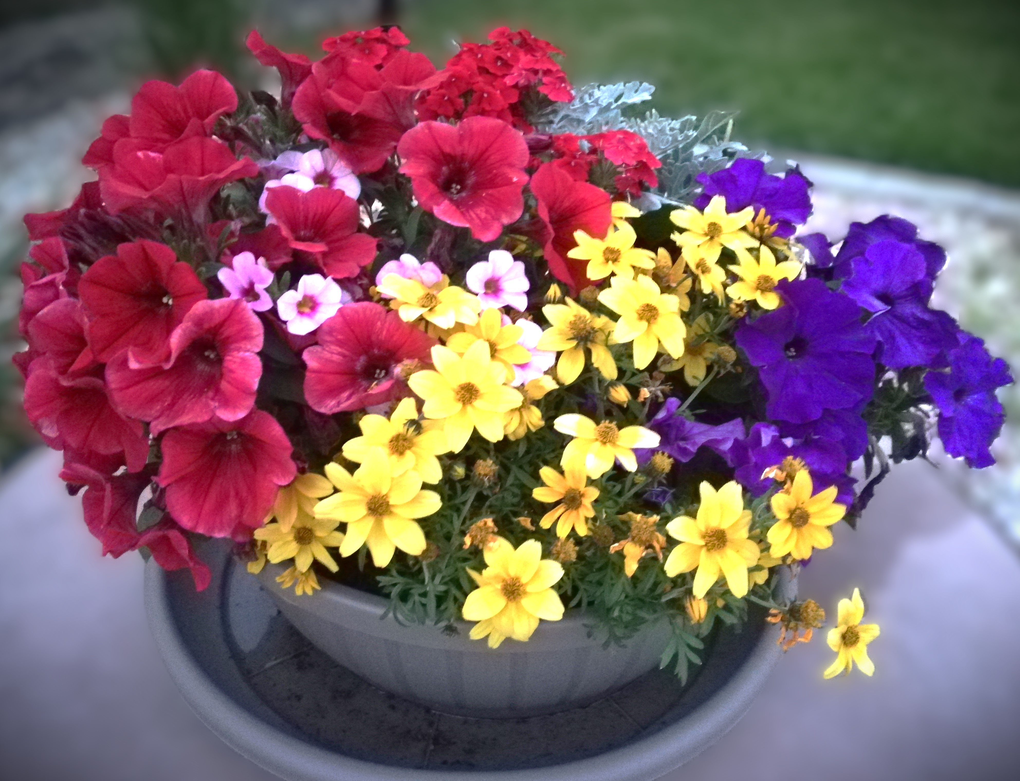 Balkónová zostava multicolor