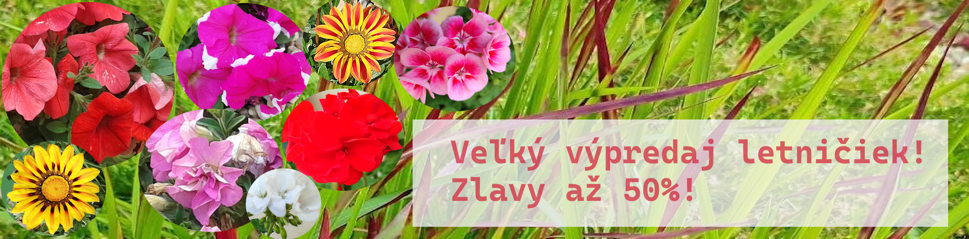 Letny Vypredaj